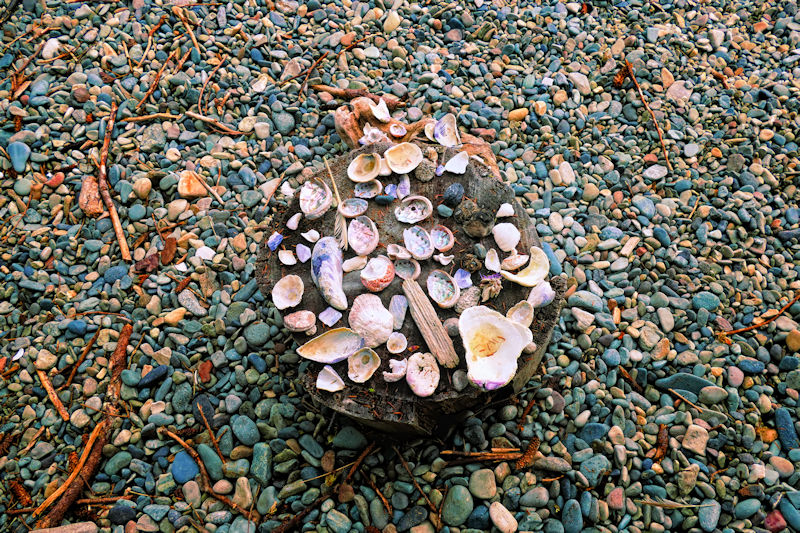 Sticks and stones ... and sea shells, T